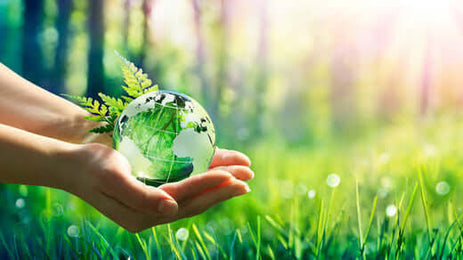 Mea Bloom: Blending Nature and Science for Your Best Skin