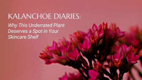 Kalanchoe Diaries:Why This Underrated Plant Deserves a Spot on Your Skincare Shelf