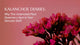 Kalanchoe Diaries:Why This Underrated Plant Deserves a Spot on Your Skincare Shelf