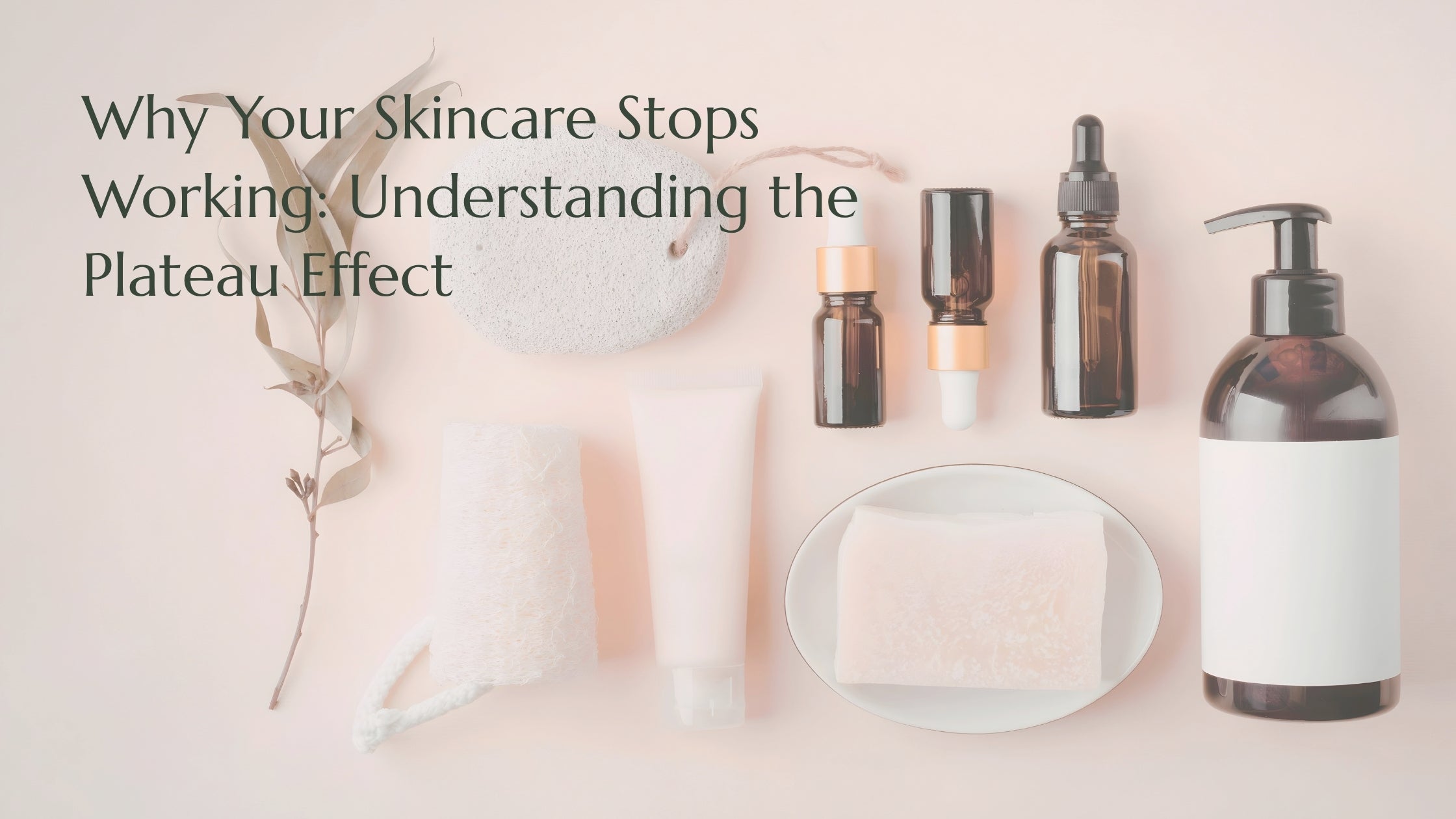 Why Your Skincare Stops Working: Understanding the Plateau Effect