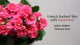 UNLOCK RADIANT SKIN WITH KALANCHOE: INDIA’S HIDDEN SKINCARE GEM