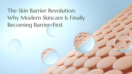 Visual representation of skin barrier care highlighting key elements from the skin barrier repair guide.